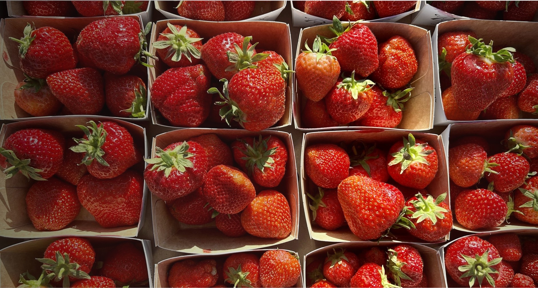 strawberries